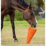 QHP Hračka pro koně XL carrot – Hledejceny.cz