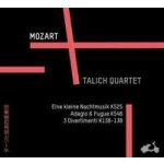 Mozart Wolfgang Amadeus - Petite Musique De Nuit CD – Hledejceny.cz