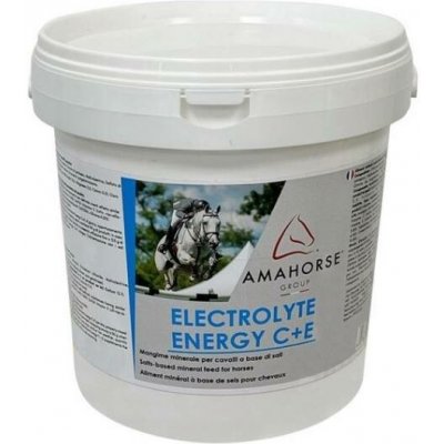UMBRIA EQUITAZIONE Electrolyte Energy 3 kg – Hledejceny.cz