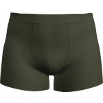 Icebreaker Mens 125 Cool-Lite Anatomica Trunks – Zboží Mobilmania