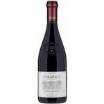 Tarapacá Syrah Gran Reserva 0,75 l (holá láhev) – Hledejceny.cz
