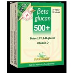 Natures Beta glucan 500+ 30 kapslí – Hledejceny.cz