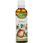 Dýně - bylinná tinktura 50 ml – Zbozi.Blesk.cz