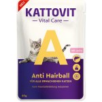 Kattovit Vital Care Anti Hairball losos 85 g – Hledejceny.cz