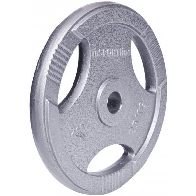 inSPORTline ocel 25 kg 30 mm – Zbozi.Blesk.cz