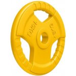 Gorilla Sports litina guma 15 kg 355 mm – Hledejceny.cz