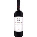 Aurelia Visinescu Anima Cabernet Sauvignon Suché červené 2016 14,6% 0,75 l (holá láhev) – Hledejceny.cz