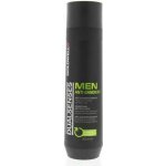 Goldwell Dualsenses men Anti Dandruff Shampoo 300 ml – Hledejceny.cz