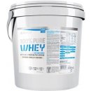 Protein BioTech USA 100% Pure Whey 4000 g