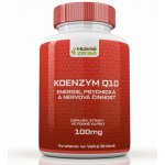 Swanson Koenzym Q10 100 mg 100 kapslí – Hledejceny.cz