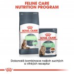 Royal Canin Digest Sensitive v omáčce 12 x 85 g – Hledejceny.cz