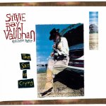Vaughan Stevie Ray - Sky Is Crying LP – Hledejceny.cz