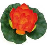 Pontec PondoLily Leknín oranžový – Sleviste.cz