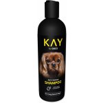 KAY Šampon proti zacuchání 250 ml – Zboží Dáma