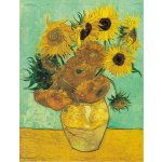 Plakát, Obraz - Slunečnice, Vincent van Gogh, 30 × 40 cm – Hledejceny.cz