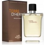 Hermès Terre D'Hermes toaletní voda pánská 100 ml – Hledejceny.cz