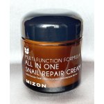 MIZON ALL IN ONE SNAIL REPAIR CREAM 75 ml – Hledejceny.cz