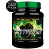 Aminokyselina Scitec Nutrition L-Glutamine 300 g