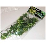 Hagen rostlina Red Ludwigia 30 cm – Hledejceny.cz