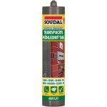 Soudal Transpacryl 280 ml transparentní – Sleviste.cz