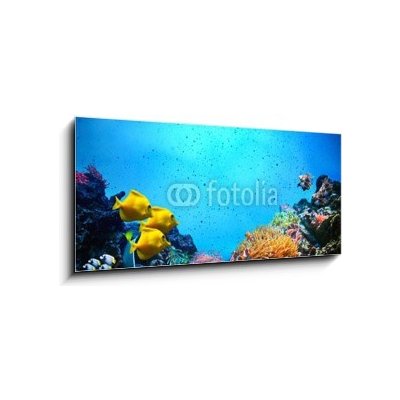 Obraz 1D panorama - 120 x 50 cm - Underwater scene. Coral reef, fish groups in clear ocean water Podvodní scéna. Korálový útes, rybí skupiny v čisté mořské vodě – Zboží Mobilmania
