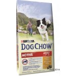 Purina Dog Chow Active Chicken 2 x 14 kg – Hledejceny.cz