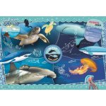 Clementoni National Geographic Kids Ocean 27143 104 dílků – Zbozi.Blesk.cz