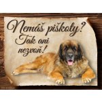 Sport hobby Cedulka Leonberger Piškoty CP091 20 x 15 cm – Zboží Mobilmania