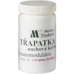 MedinTerra Echinacea kořen 50 mg 100 tablet – Hledejceny.cz