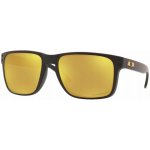 Oakley Holbrook – Sleviste.cz