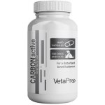 VetaPro CarbonActive tráviaci adsorbent pre psov a mačky 20 kapsúl – Hledejceny.cz