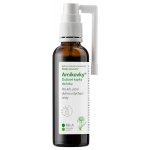 Novy Dědek Kořenář Hlívovky Dubové kapky s hlívou 200 ml – Sleviste.cz