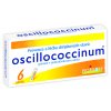 OSCILLOCOCCINUM POR 1G GRA MDC 6X1G