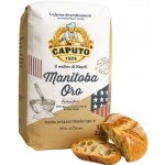 Caputo mouka typ 0 Manitoba Oro 1 kg – Zboží Dáma