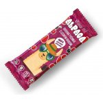 RAW ME Alpaca ovocná tyčinka 25 g – Hledejceny.cz