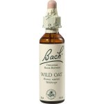 Bachovy květové esence Sveřep větevnatý Wild Oat 20 ml – Hledejceny.cz