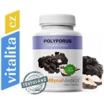 MycoMedica Polyporus 3 x 90 kapslí – Hledejceny.cz