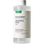 EQQUALBERRY Swimming Pool Daily Facial Toner 155 ml – Zboží Dáma