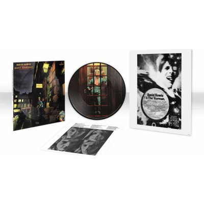 The Rise and Fall of Ziggy Stardust and the Spiders from Mars David Bowie LP – Hledejceny.cz