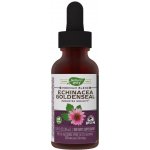 Nature's Way Echinacea Goldenseal Premium Blend 100 kapslí – Hledejceny.cz