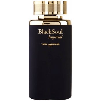 Ted Lapidus Black Soul Imperial toaletní voda pánská 100 ml