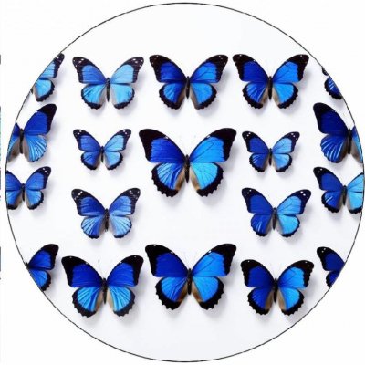 Jedlý papír modří motýli 19,5cm - Pictu Hap – Zboží Mobilmania