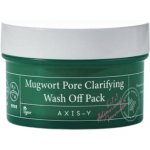 Axis y Mugwort Pore Clarifying Wash Off Pack 100 ml – Hledejceny.cz