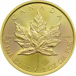 Royal Canadian Mint Maple Leaf zlatá mince 50 CAD stand 1 oz – Hledejceny.cz