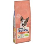 Purina Dog Chow Active Chicken 2 x 14 kg – Zboží Mobilmania