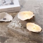 Creativ Company Kreativní sada Mini Craft Kit Candle Making Shells – Hledejceny.cz