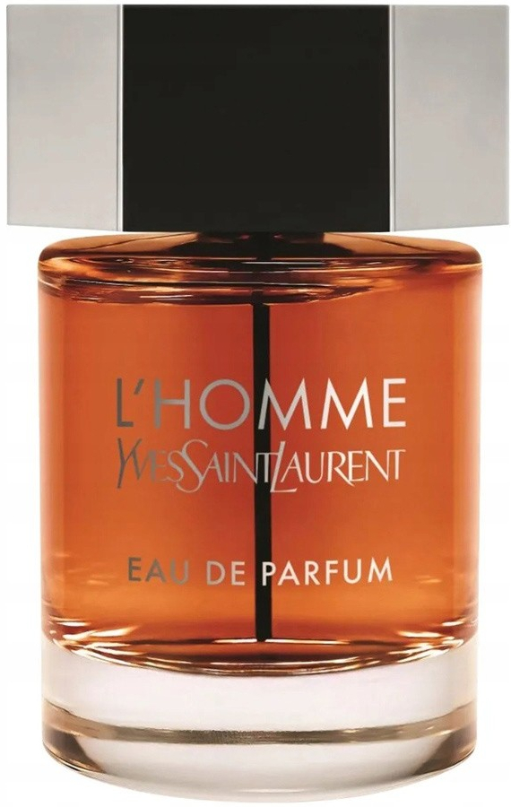 Yves Saint Laurent L´Homme parfémovaná voda pánská 100 ml od 2 019