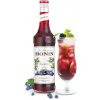 Šťáva Monin Blueberry 0,7 l