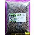 Jetel luční červený MANUELA C1_ 1 kg – Sleviste.cz