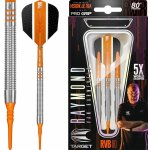 Target soft 18g Raymond van Barneveld 80% wolfram RVB – Zbozi.Blesk.cz